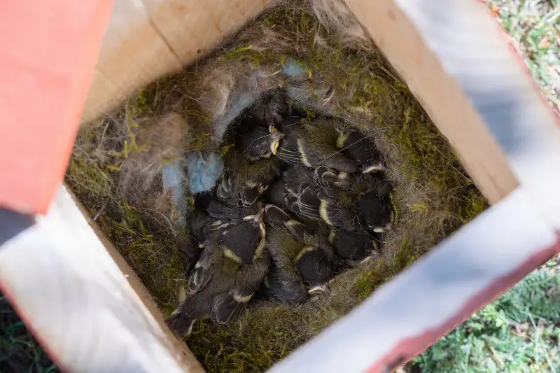 Első alkalommal rendezték meg a Föld Kincskeresőt 